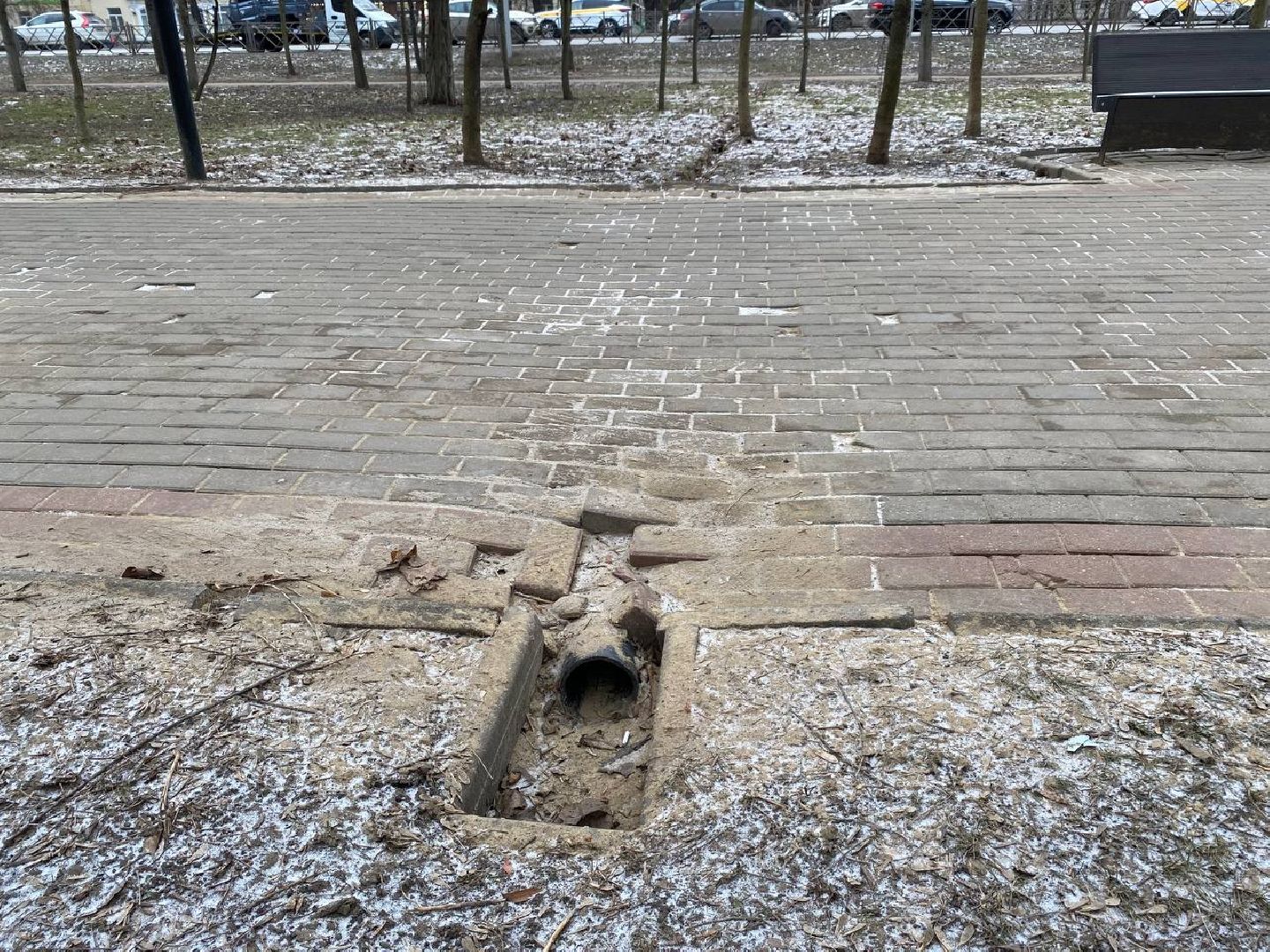 вертикалки, яблоневыйсквер, благоустройство, сквервкрасногорске, парквкрасногорске,