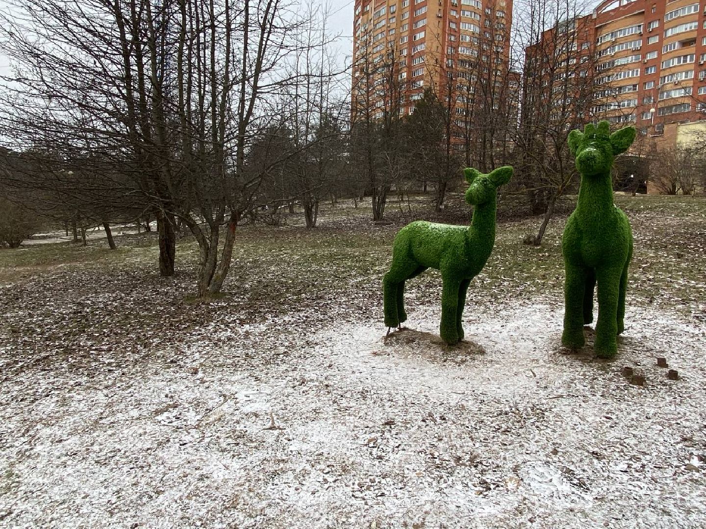 вертикалки, яблоневыйсквер, благоустройство, сквервкрасногорске, парквкрасногорске,