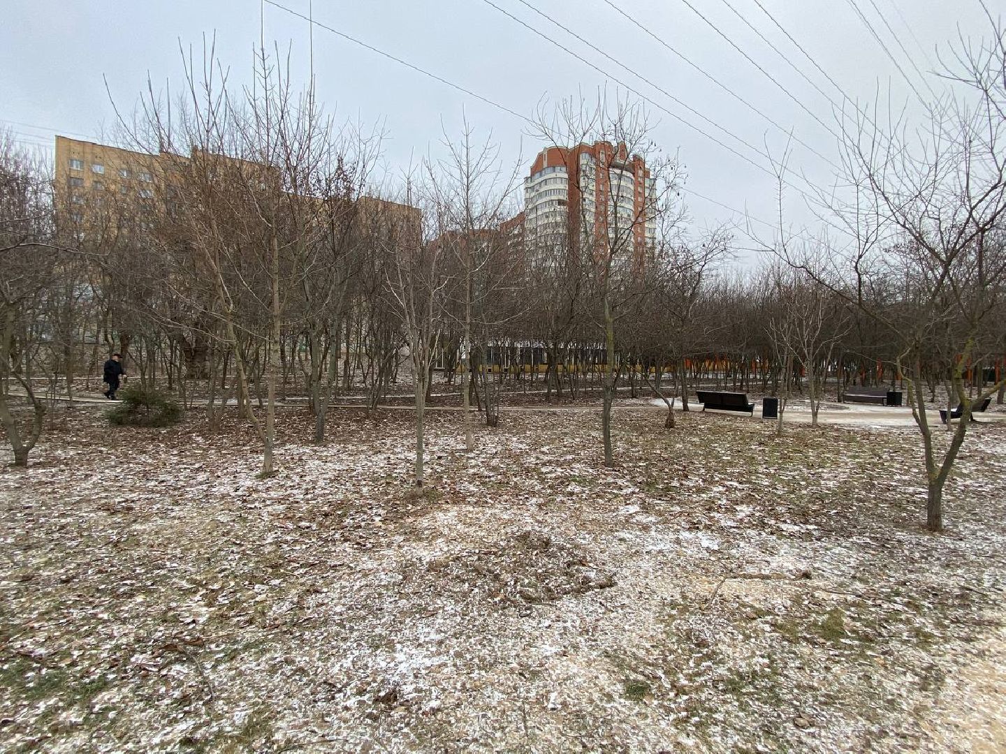 вертикалки, яблоневыйсквер, благоустройство, сквервкрасногорске, парквкрасногорске,