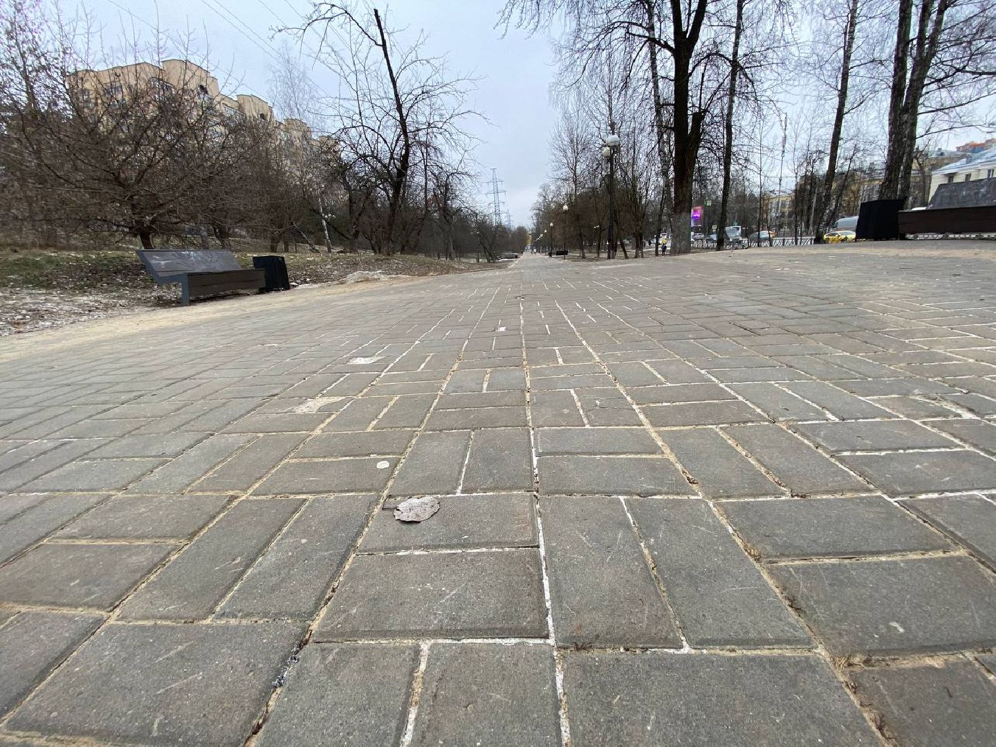 вертикалки, яблоневыйсквер, благоустройство, сквервкрасногорске, парквкрасногорске,