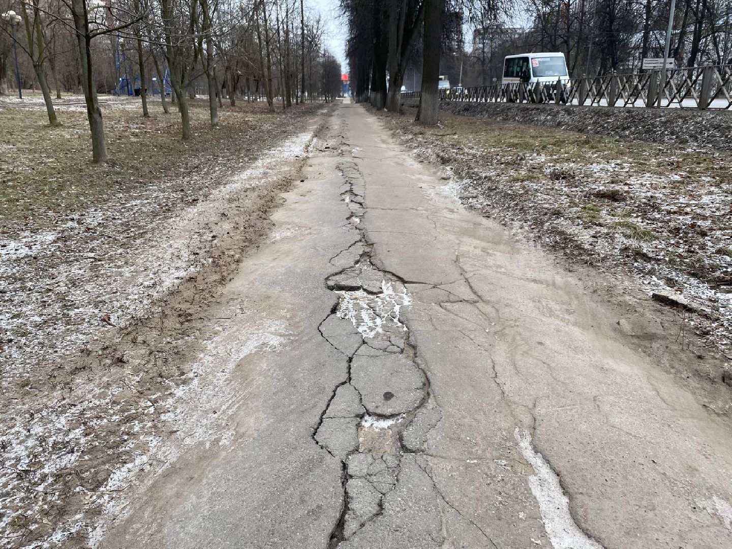 вертикалки, яблоневыйсквер, благоустройство, сквервкрасногорске, парквкрасногорске,