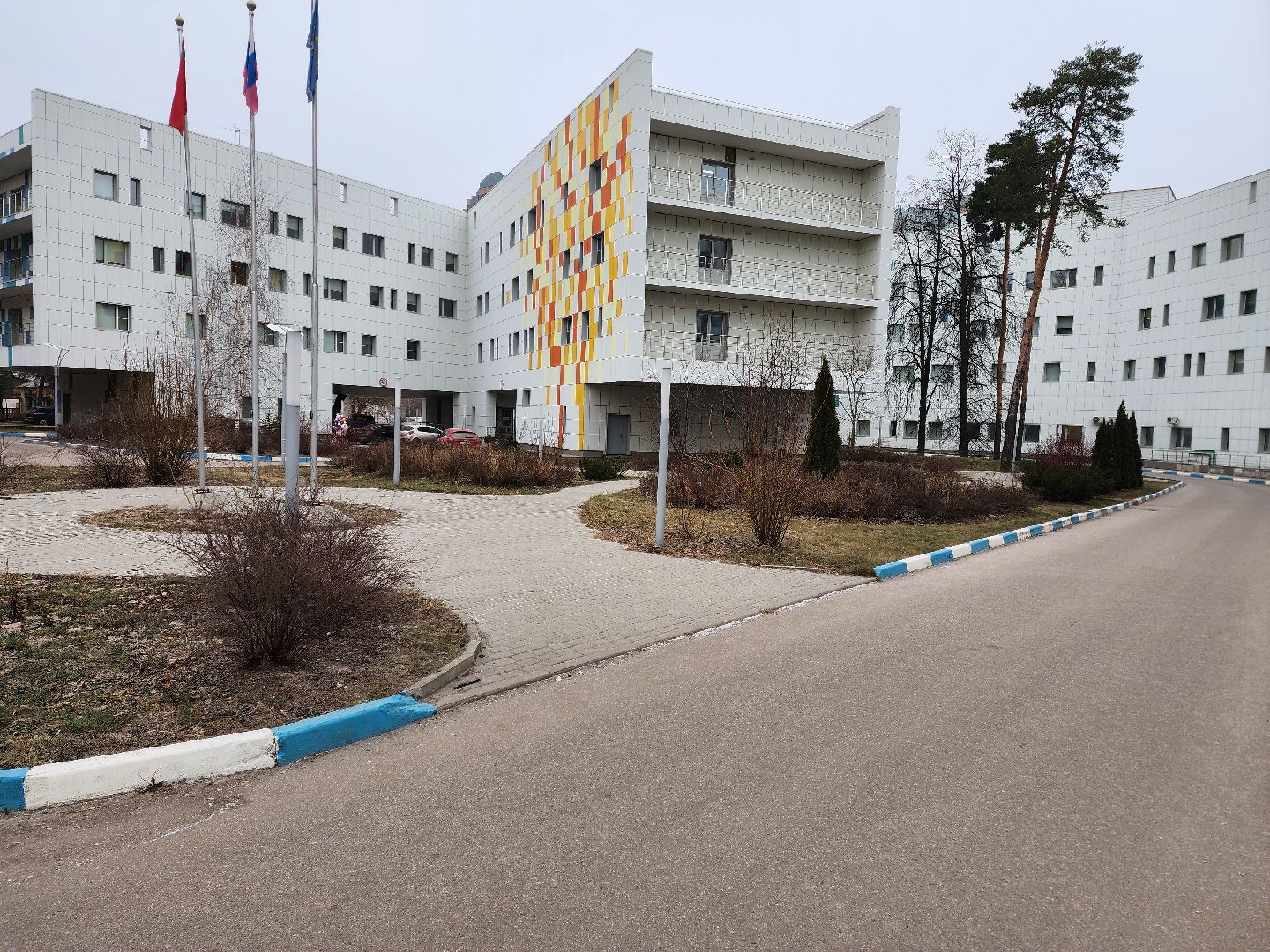 раменское, медицина, центр материнства и детства, школа матерей, перинатальный психолог,