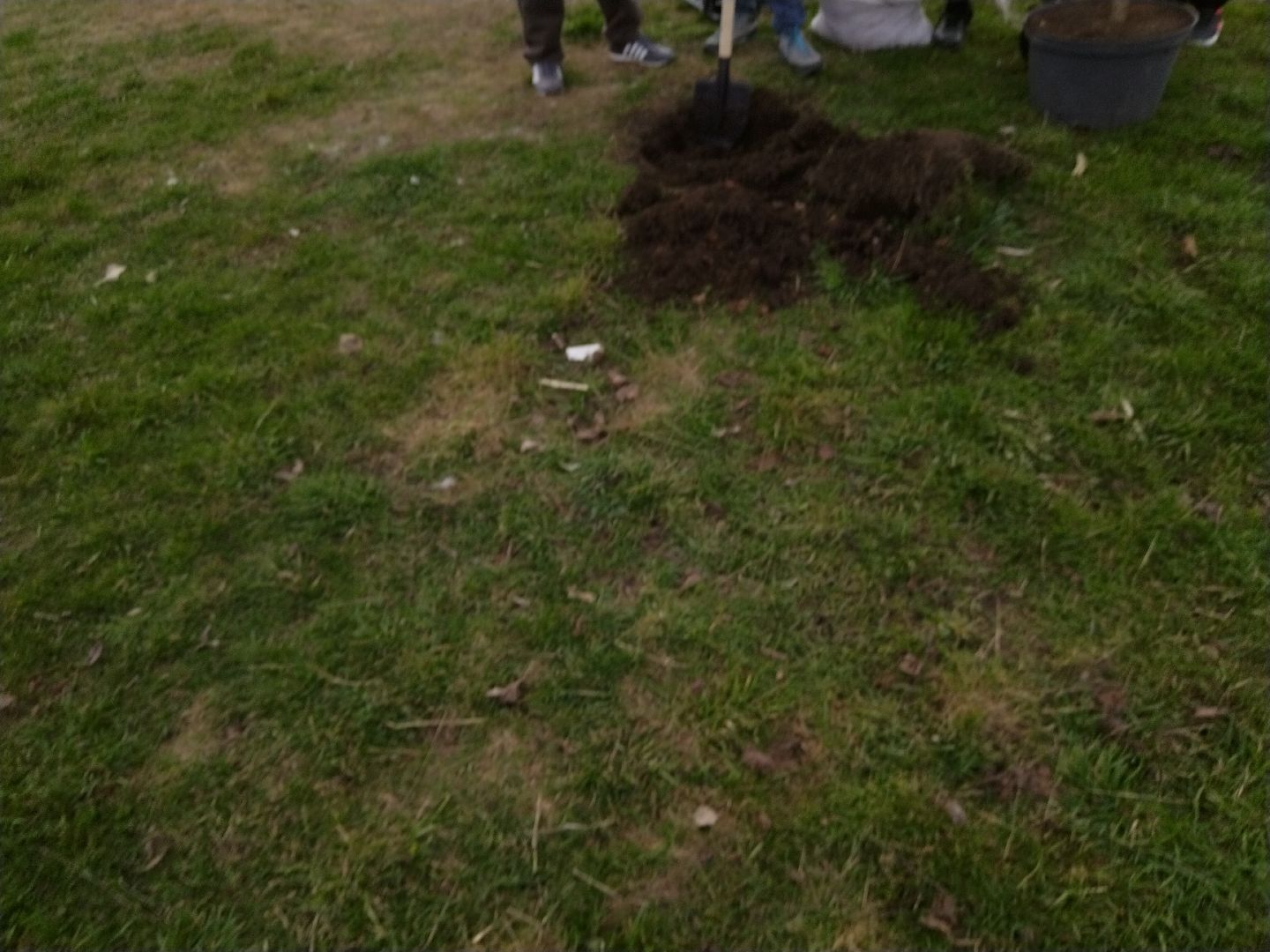 субботник, Мытищи, общественная палата