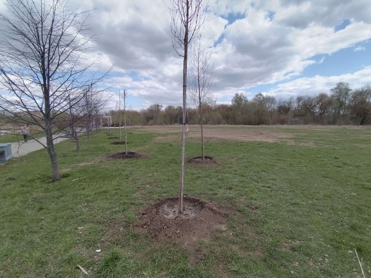 субботник, Мытищи, общественная палата