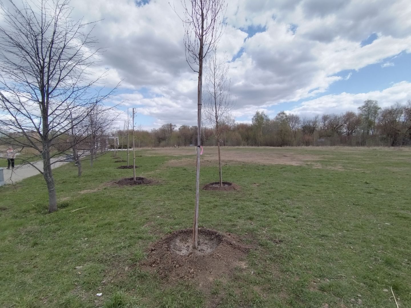 субботник, Мытищи, общественная палата