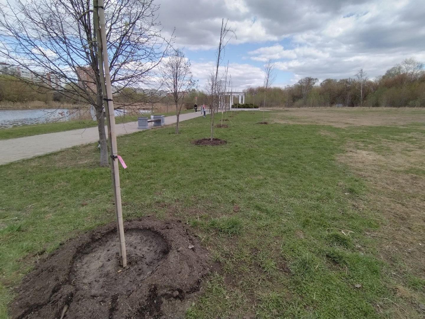 субботник, Мытищи, общественная палата