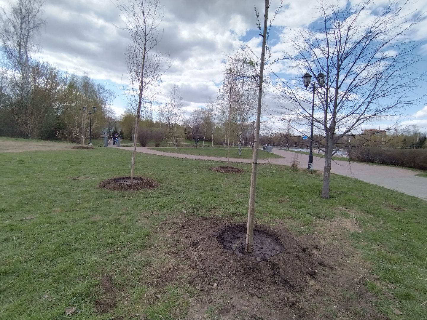 субботник, Мытищи, общественная палата