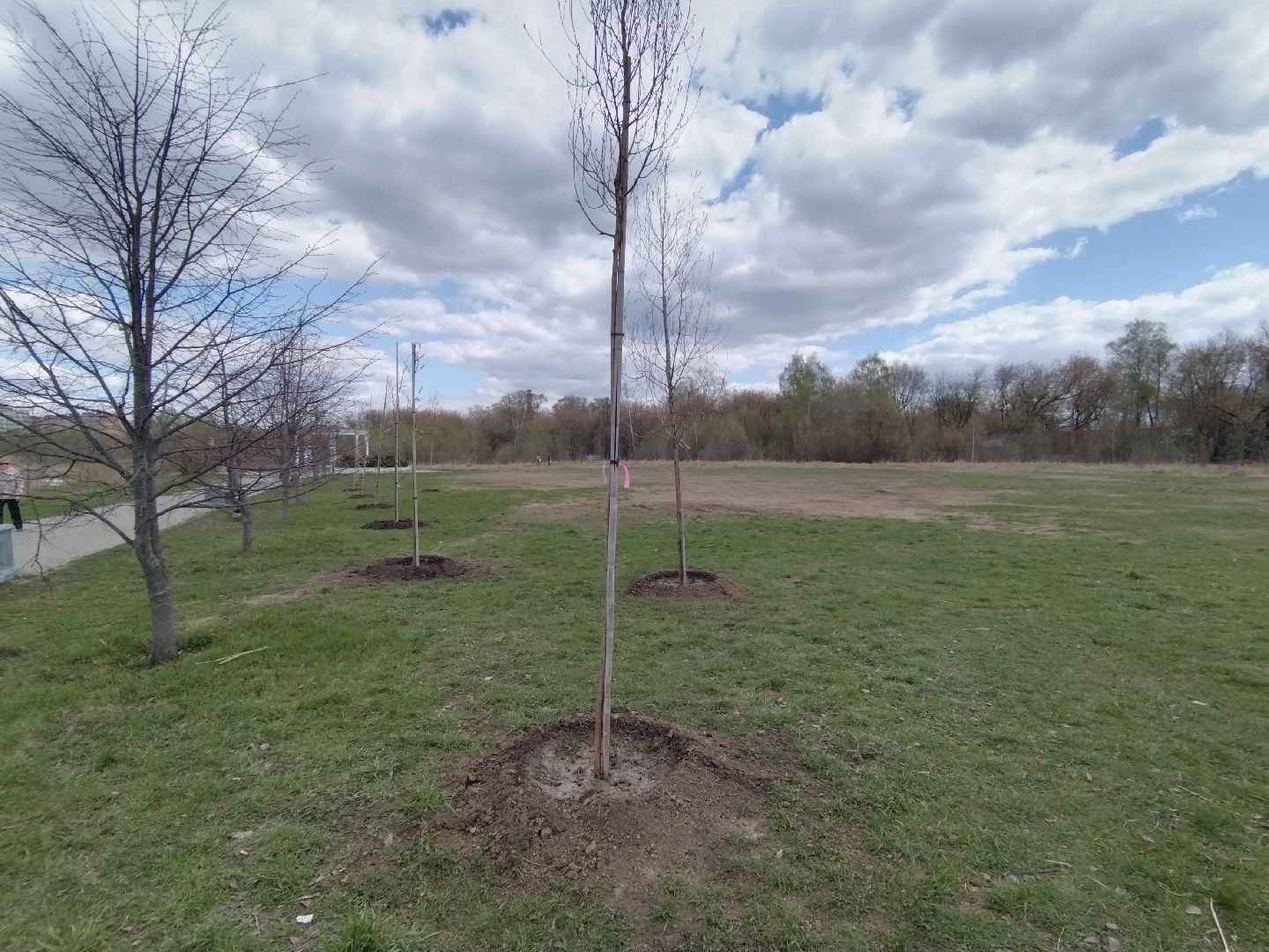 субботник, Мытищи, общественная палата