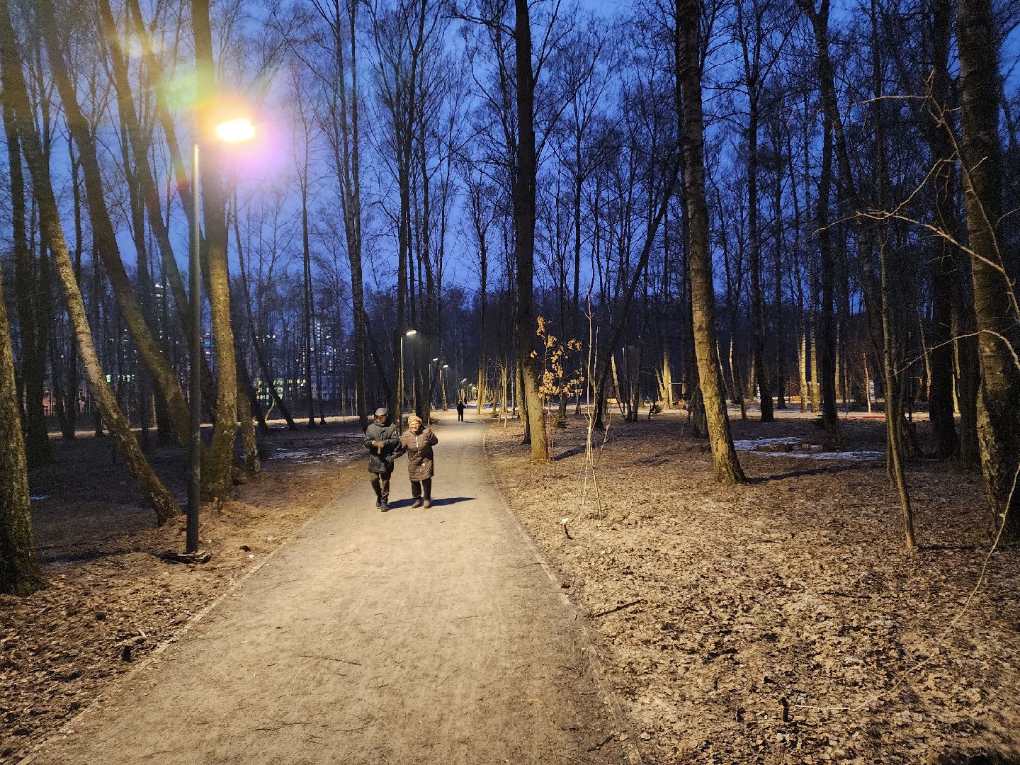Чехов, микрорайон Губернский, лесопарк, строительство, благоустройство, наружное освещение, уличное освещение, фонари,