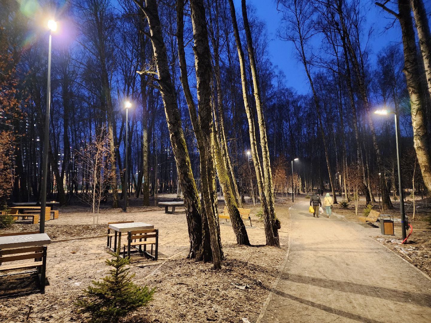 Чехов, микрорайон Губернский, лесопарк, строительство, благоустройство, наружное освещение, уличное освещение, фонари,