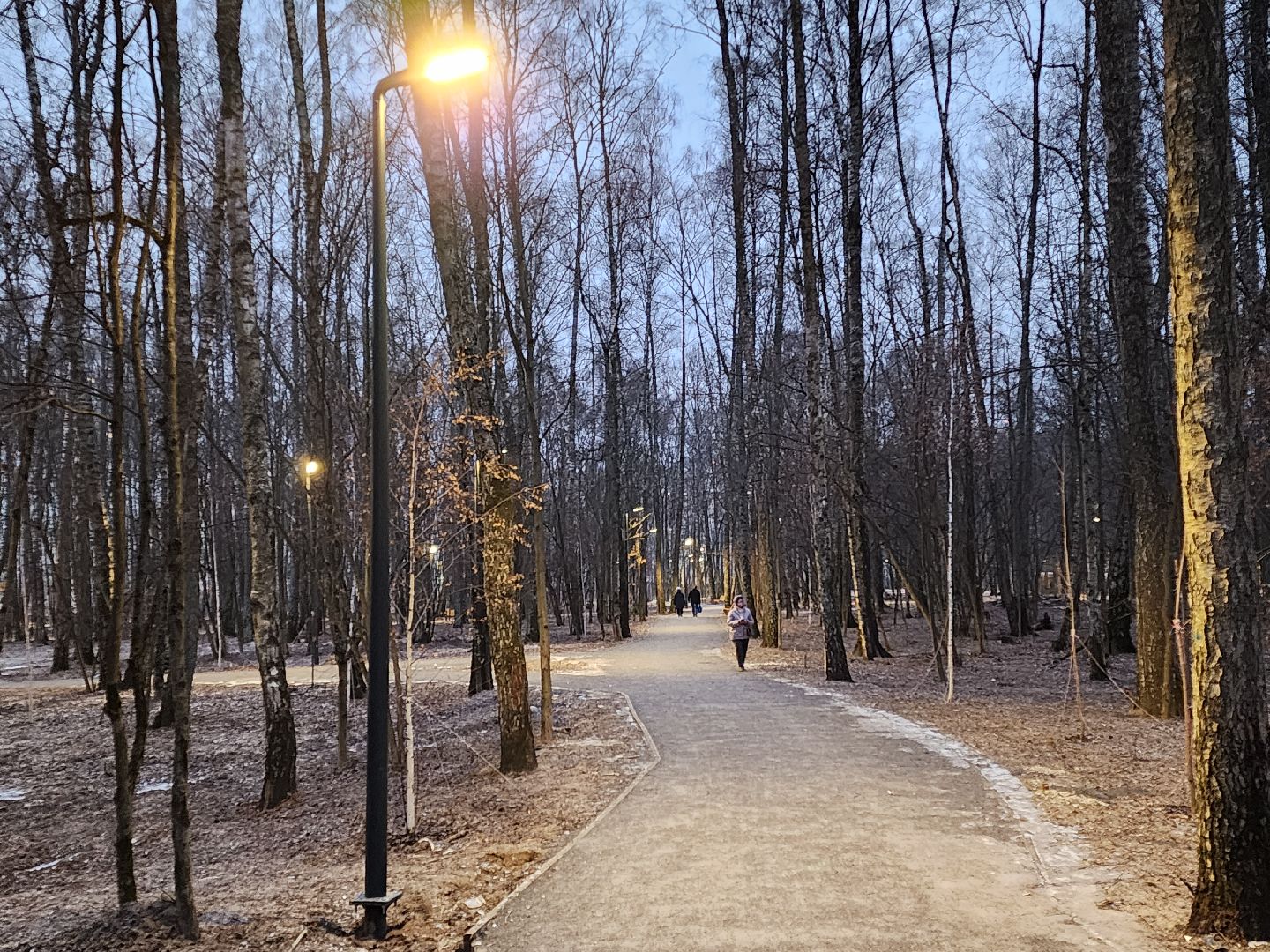 Чехов, микрорайон Губернский, лесопарк, строительство, благоустройство, наружное освещение, уличное освещение, фонари,