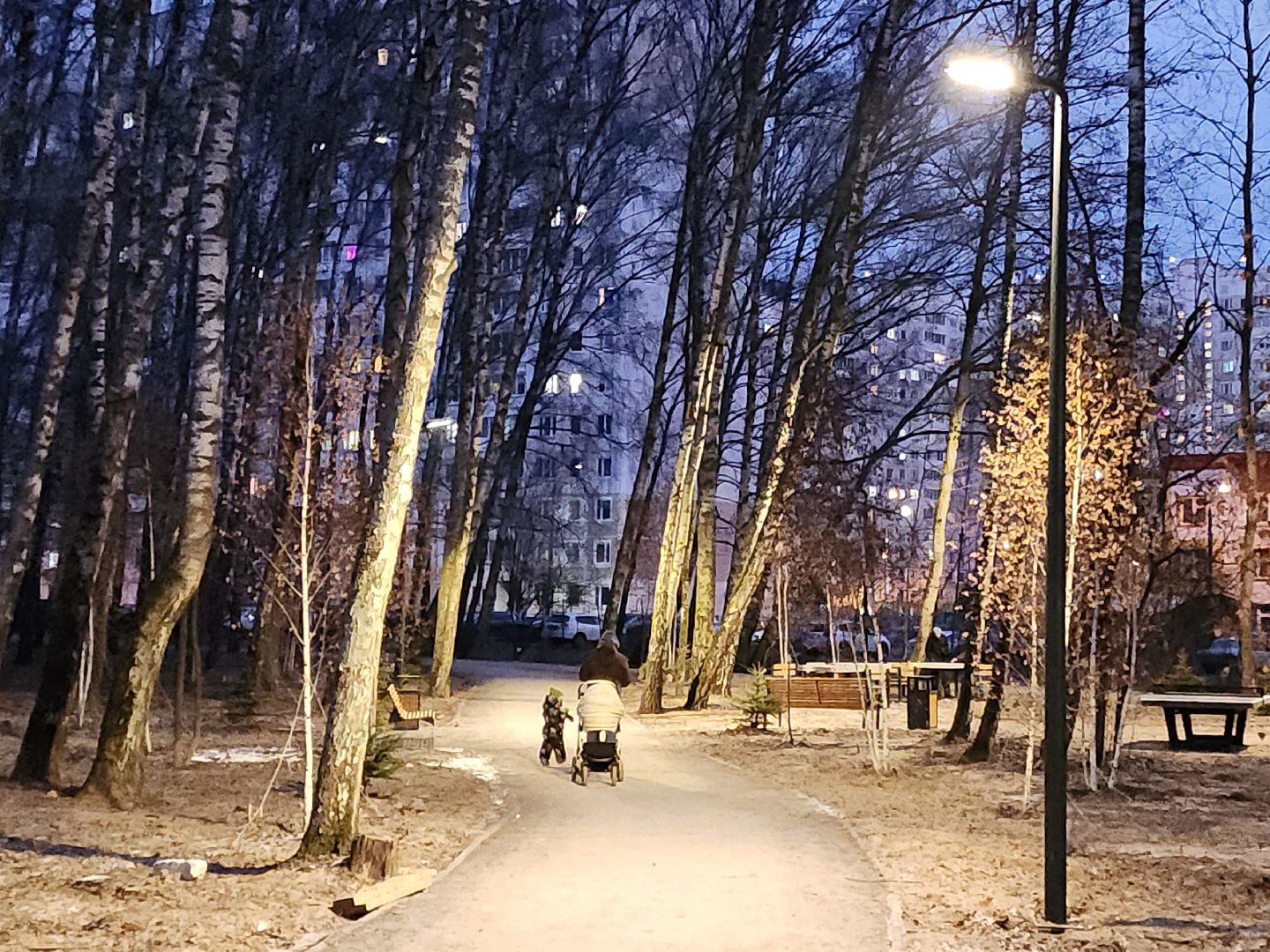 Чехов, микрорайон Губернский, лесопарк, строительство, благоустройство, наружное освещение, уличное освещение, фонари,