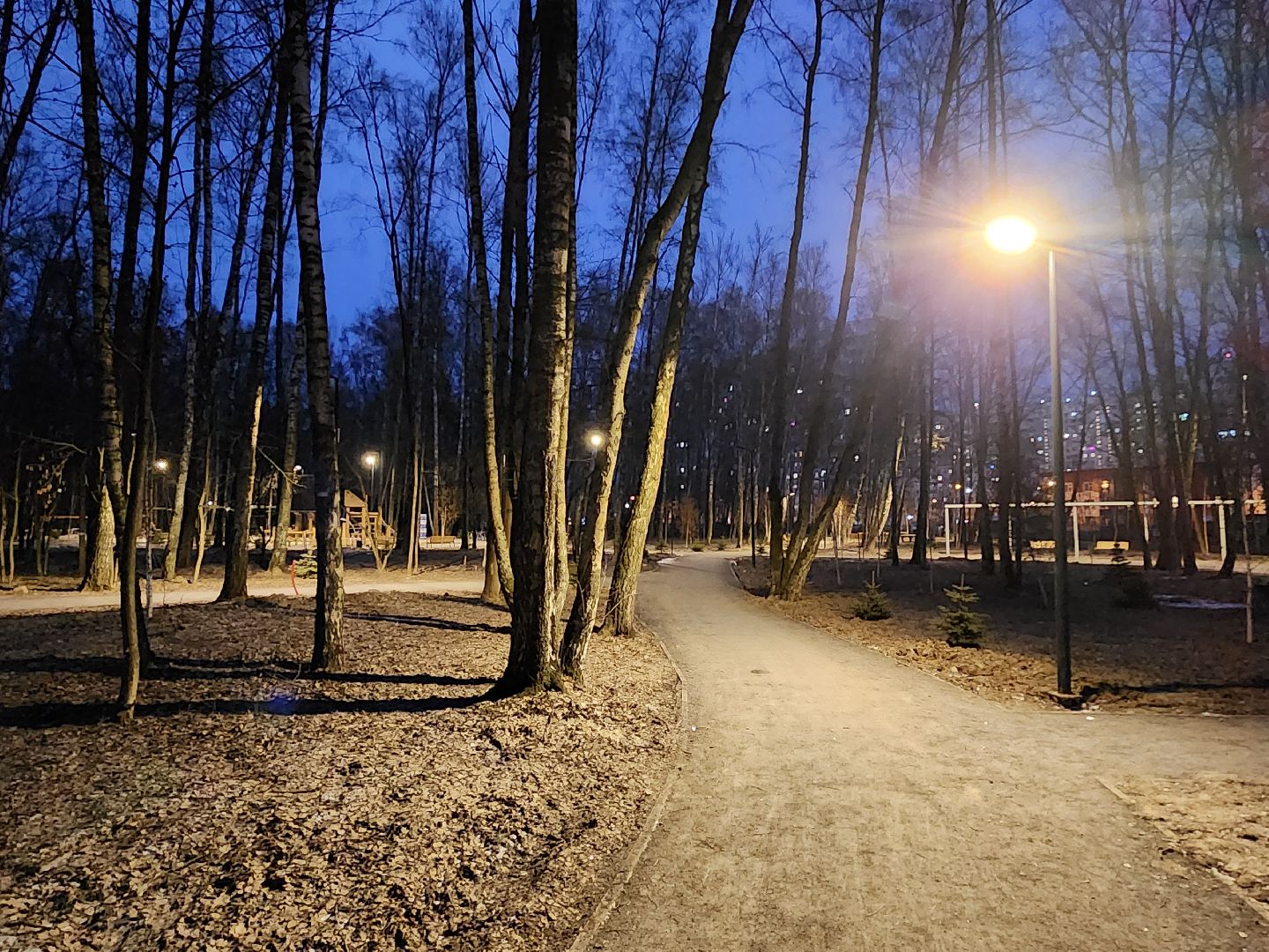 Чехов, микрорайон Губернский, лесопарк, строительство, благоустройство, наружное освещение, уличное освещение, фонари,