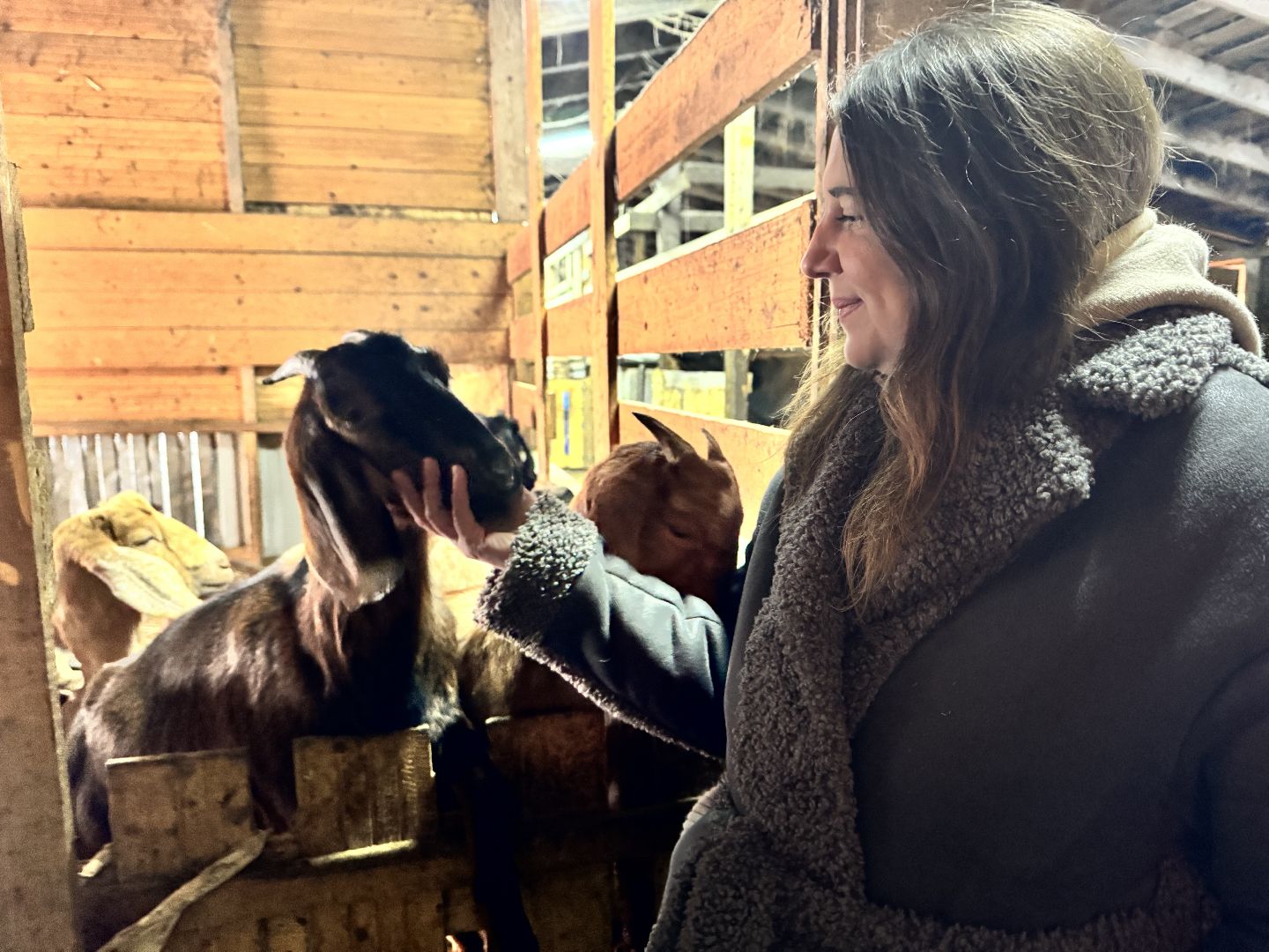 шаховская, фермеры, сельское хозяйство, грант, агростартап, вертикалки,