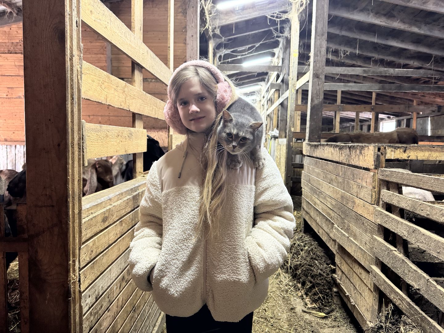 шаховская, фермеры, сельское хозяйство, грант, агростартап, вертикалки,