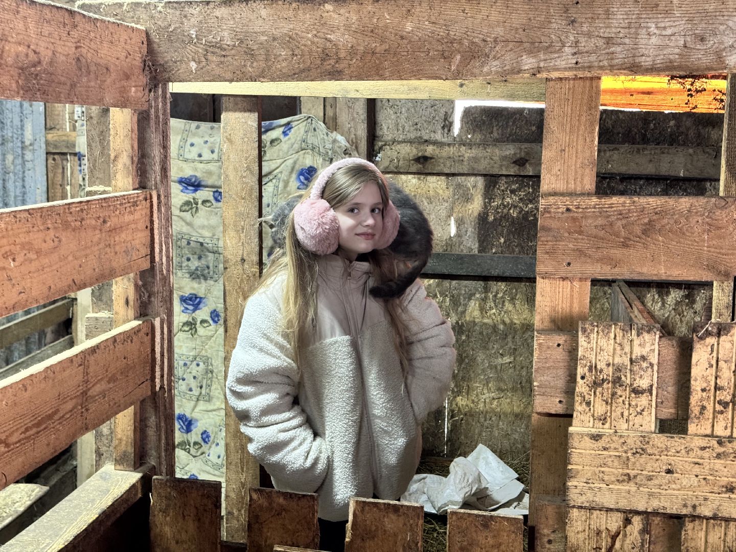 шаховская, фермеры, сельское хозяйство, грант, агростартап, вертикалки,