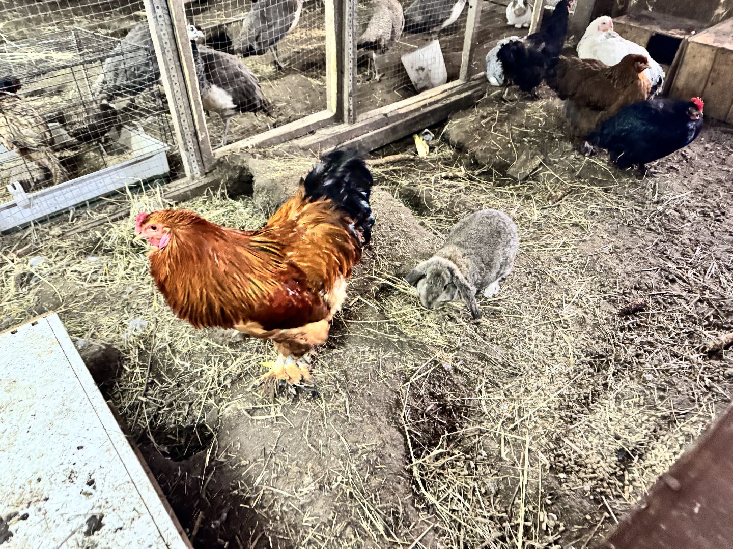 шаховская, фермеры, сельское хозяйство, грант, агростартап, вертикалки,