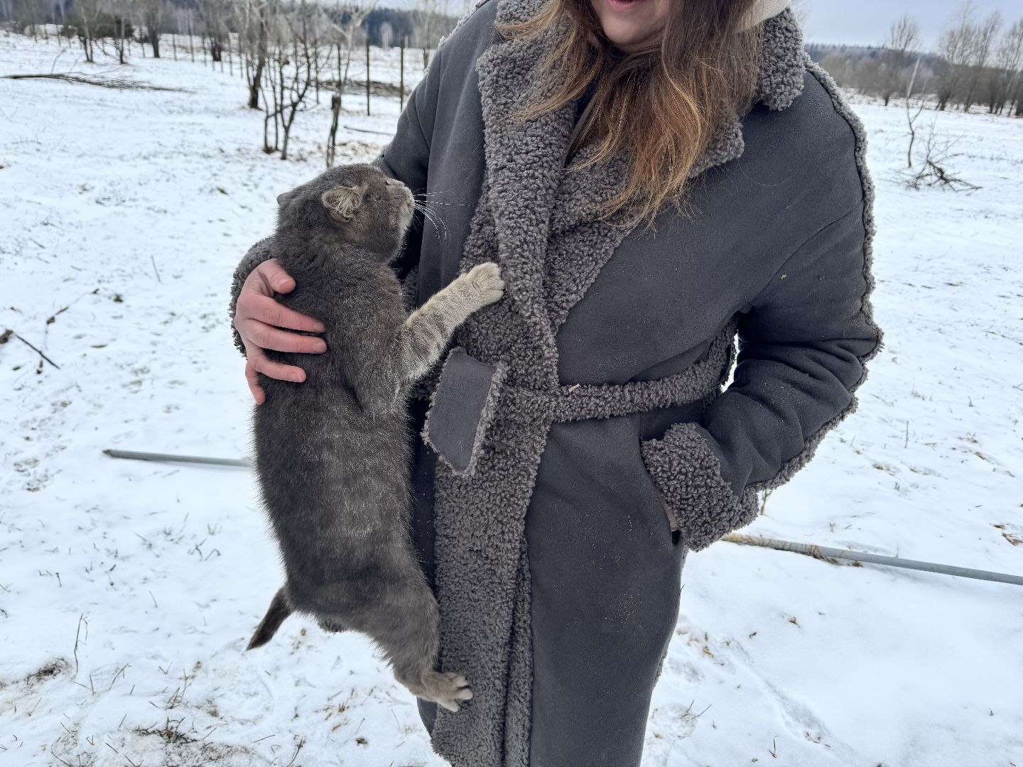 шаховская, фермеры, сельское хозяйство, грант, агростартап, вертикалки,