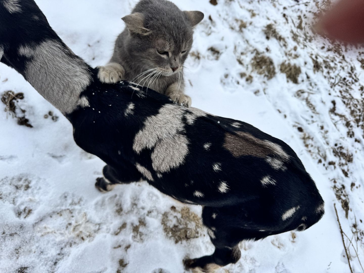 шаховская, фермеры, сельское хозяйство, грант, агростартап, вертикалки,