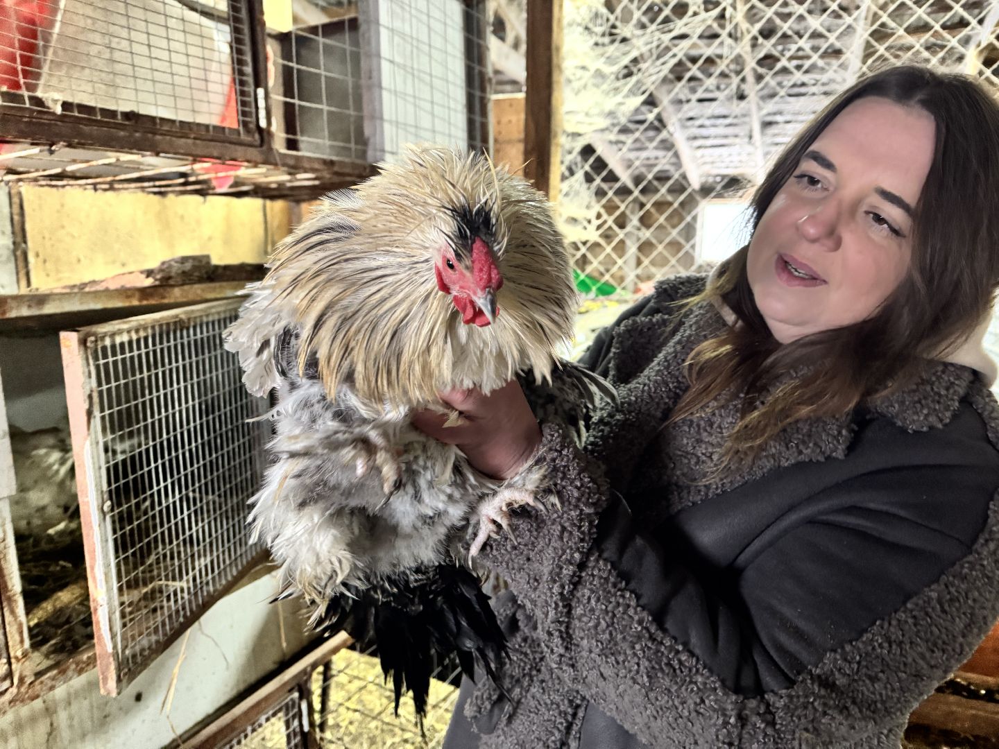 шаховская, фермеры, сельское хозяйство, грант, агростартап, вертикалки,