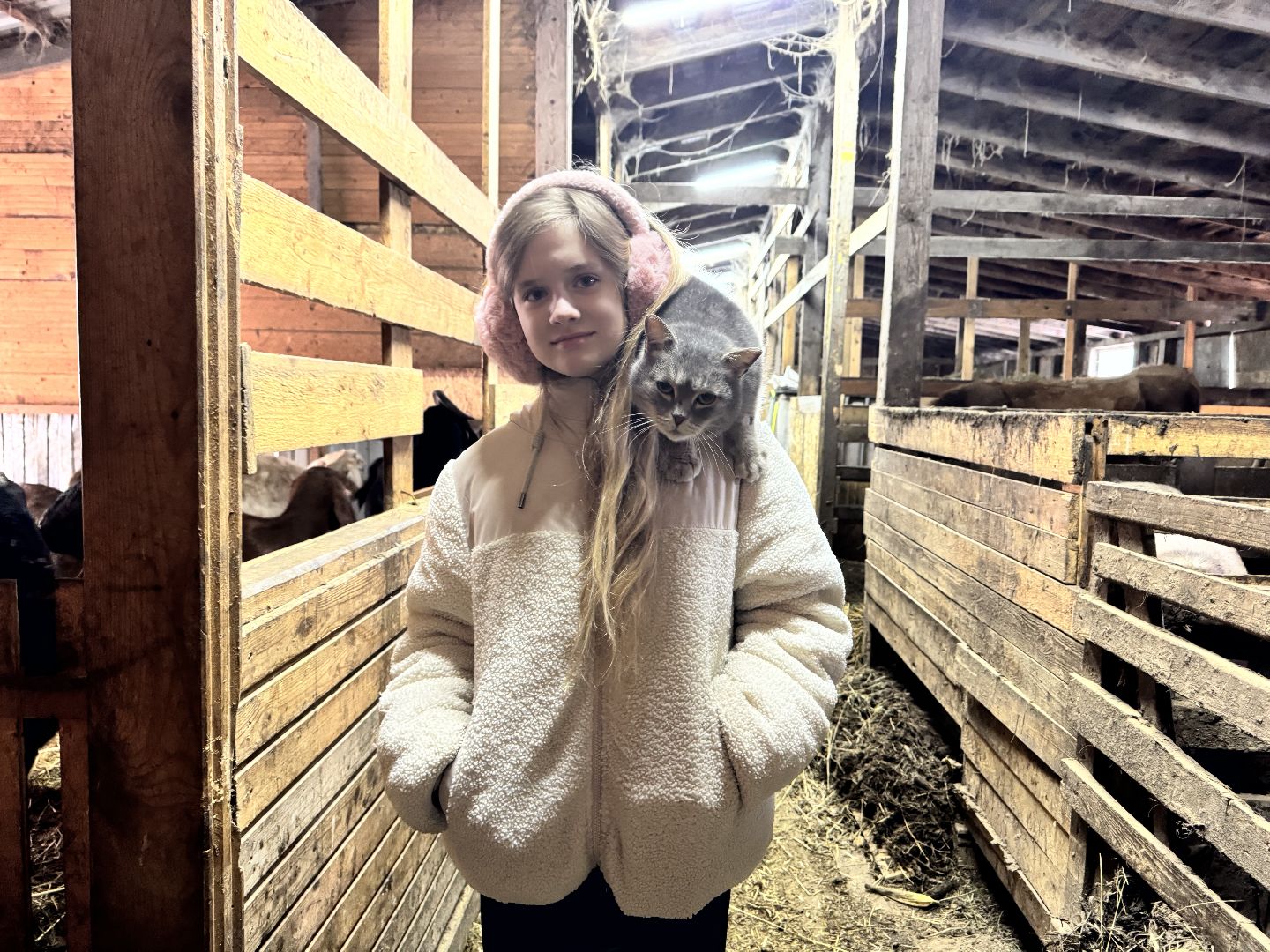 шаховская, фермеры, сельское хозяйство, грант, агростартап, вертикалки,