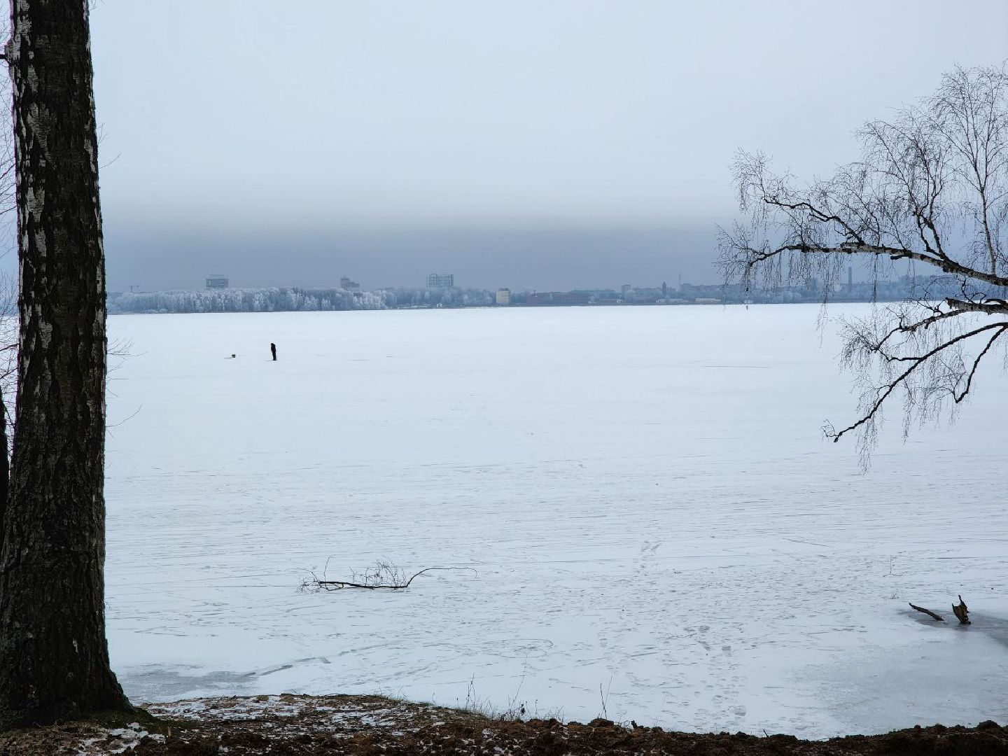 солнечногорск, благоустройство набережной, жители, вертикалки, микрорайон,
