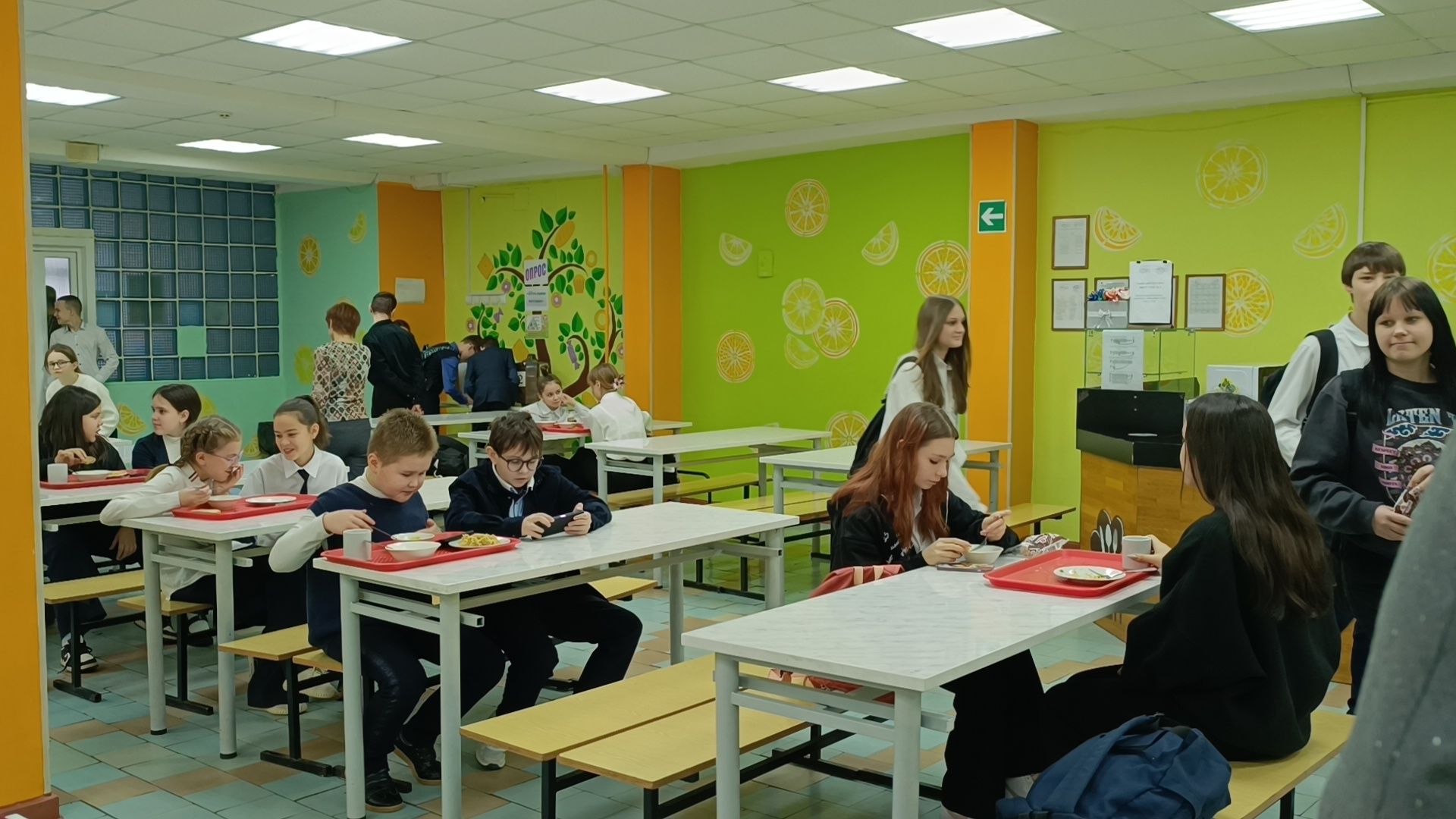 школа, лобня, школьное питание, вертикалки,