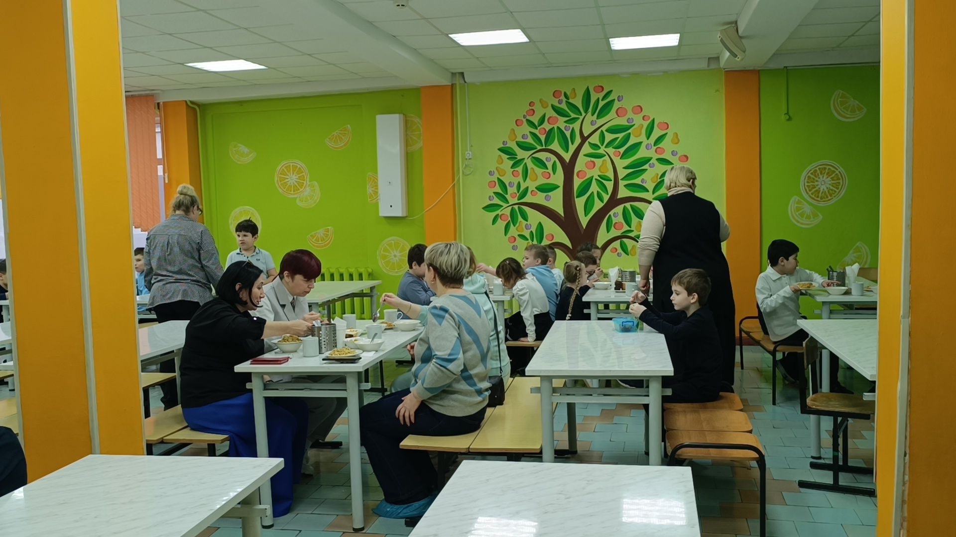 школа, лобня, школьное питание, вертикалки,