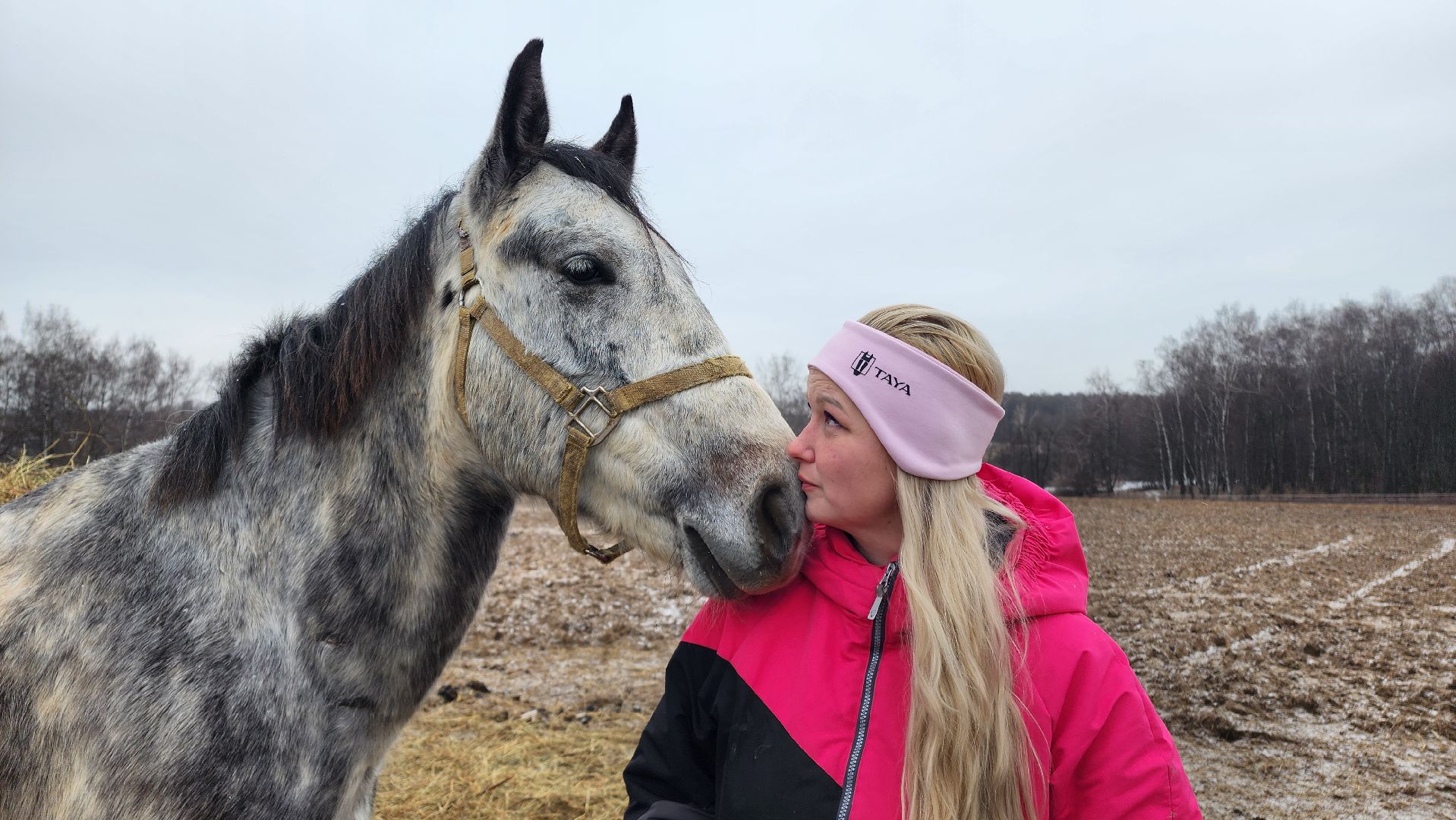 спорт, конный спорт, общество, лошади, конный клуб, домодедово, соревнования, подмосковье,