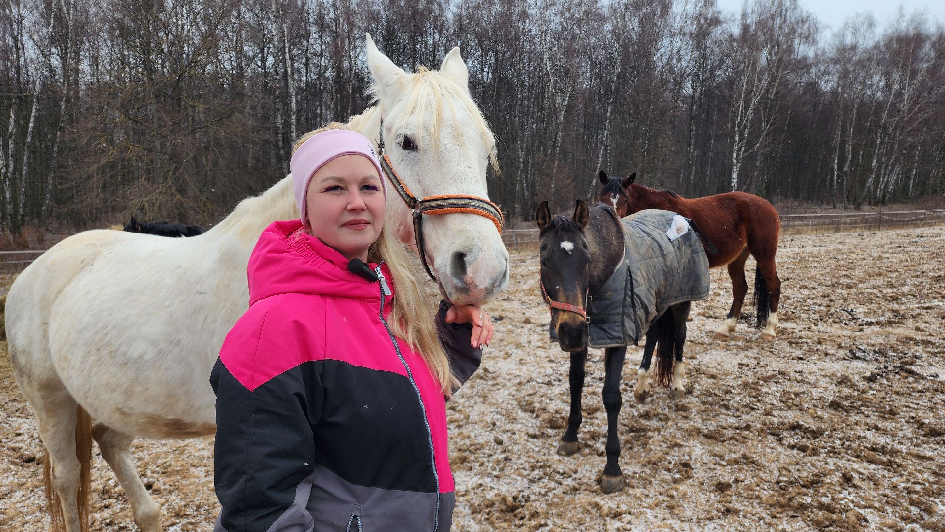 спорт, конный спорт, общество, лошади, конный клуб, домодедово, соревнования, подмосковье,