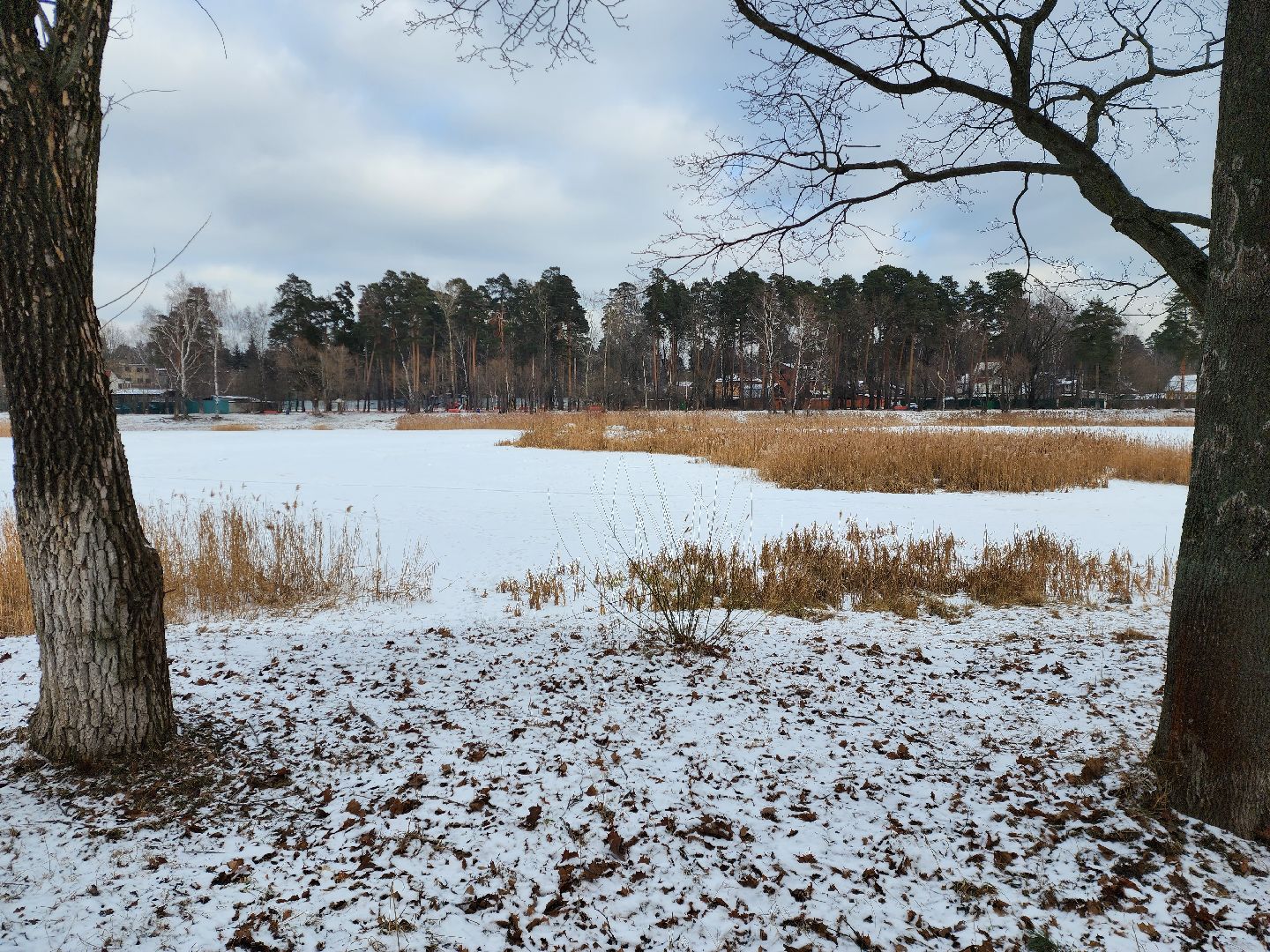 раменское, общество, выездная администрация, быково,