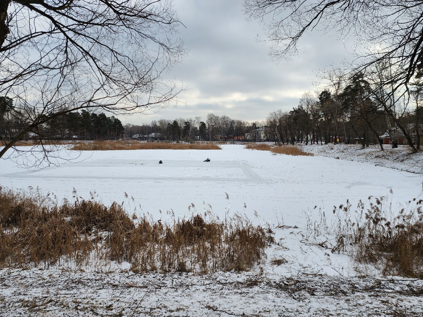 раменское, общество, выездная администрация, быково,