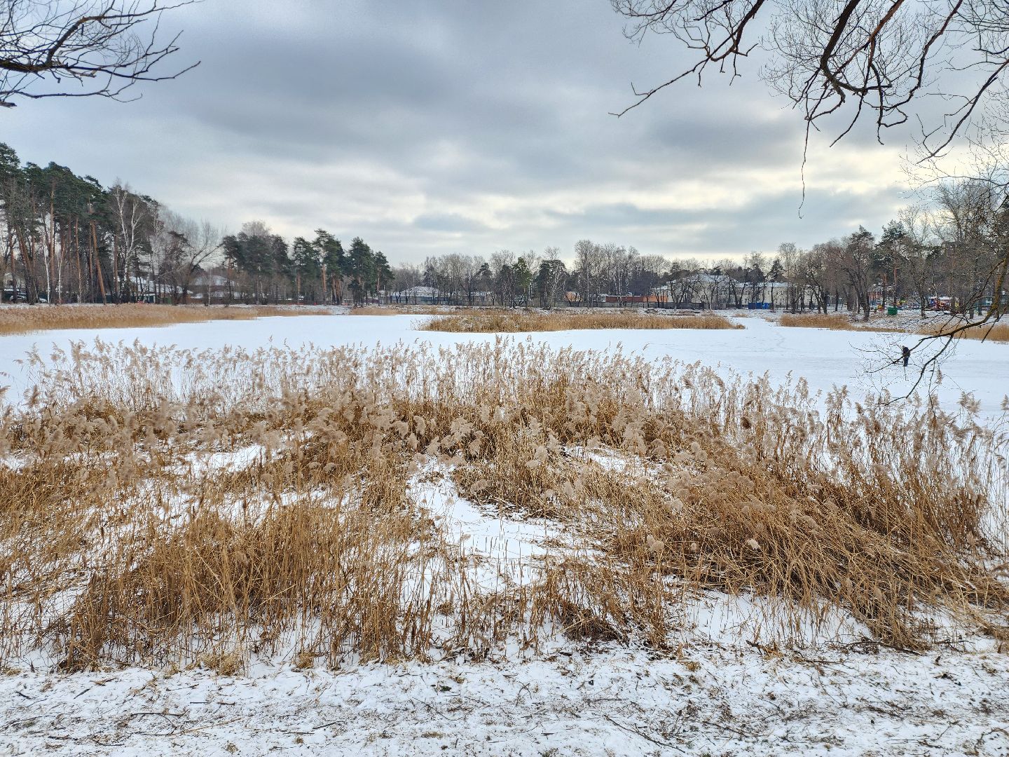 раменское, общество, выездная администрация, быково,