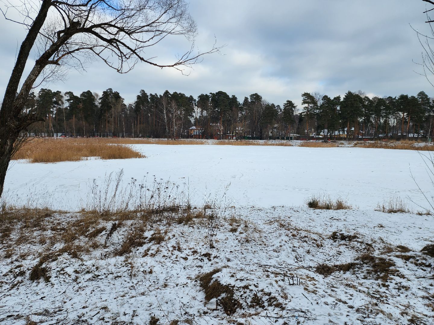раменское, общество, выездная администрация, быково,
