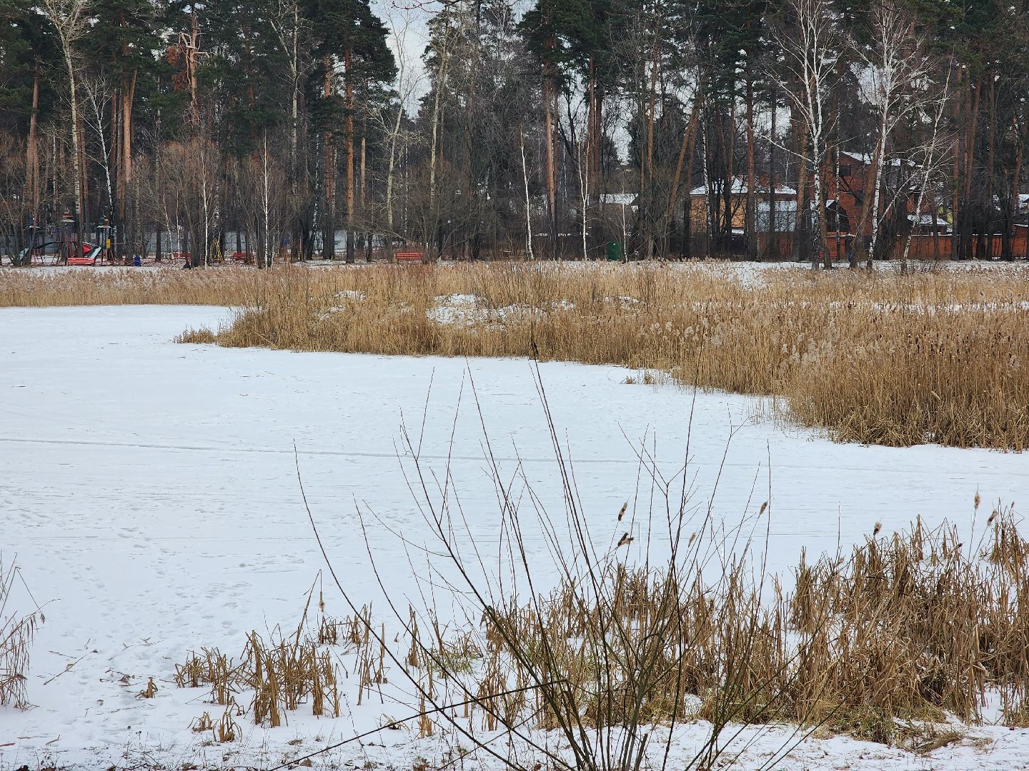 раменское, общество, выездная администрация, быково,