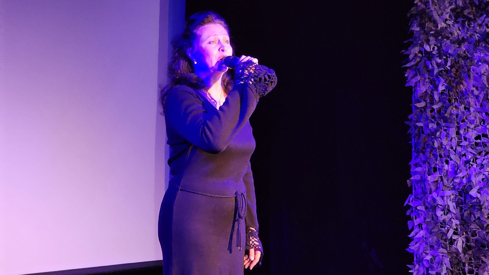 Стихи, Книга, Лобня, сво, вертикалки,