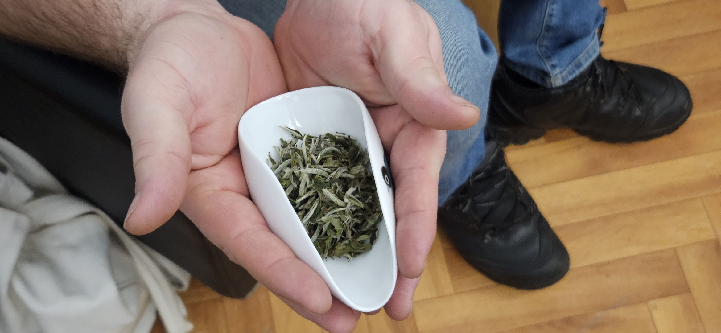 лекция, чай, китай, жуковский,