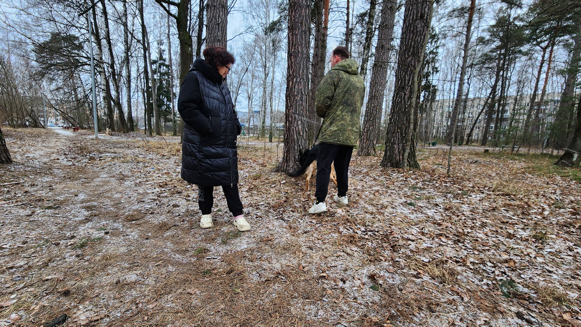 сво, поддержка, животные сво, протвино, собака военнослужащего,