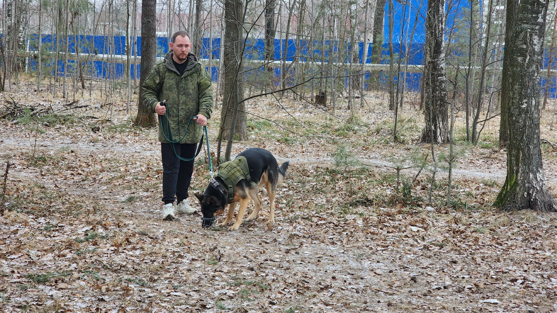 сво, поддержка, животные сво, протвино, собака военнослужащего,