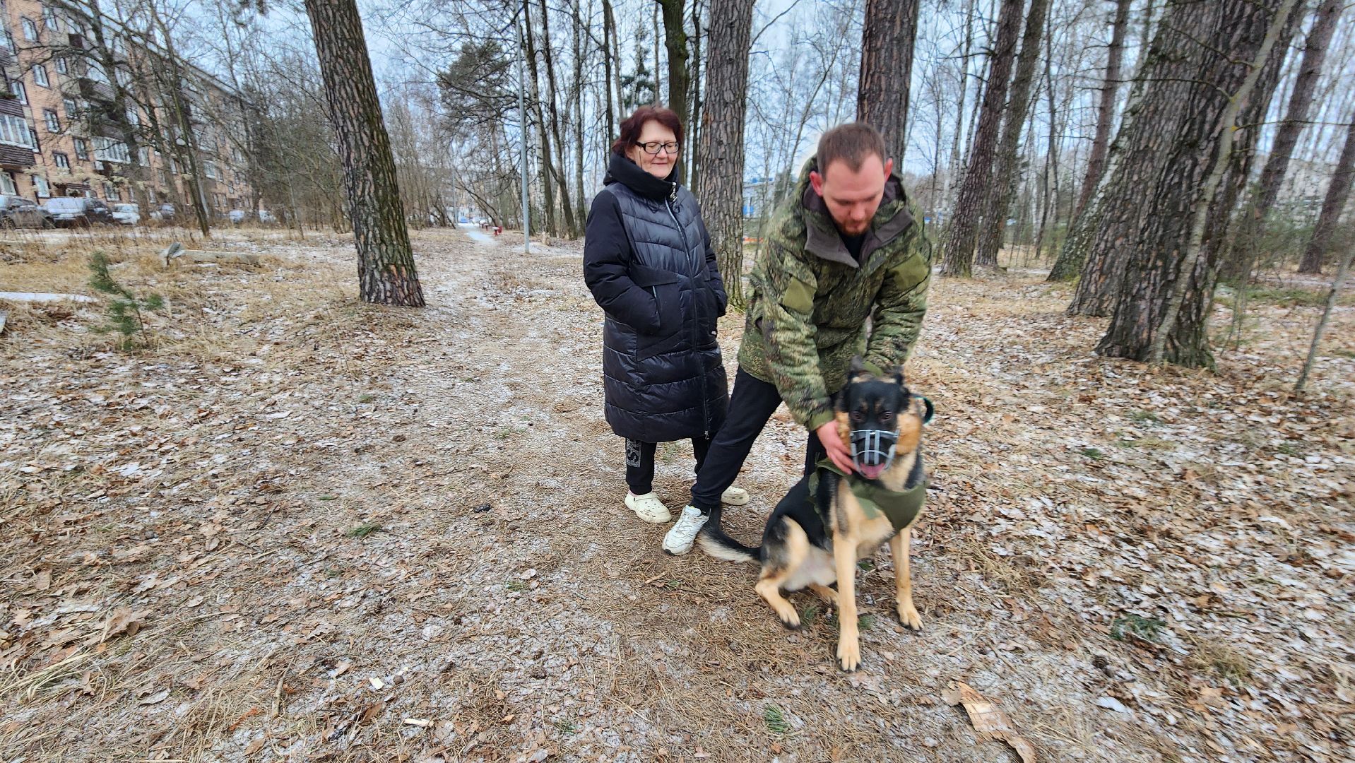 сво, поддержка, животные сво, протвино, собака военнослужащего,