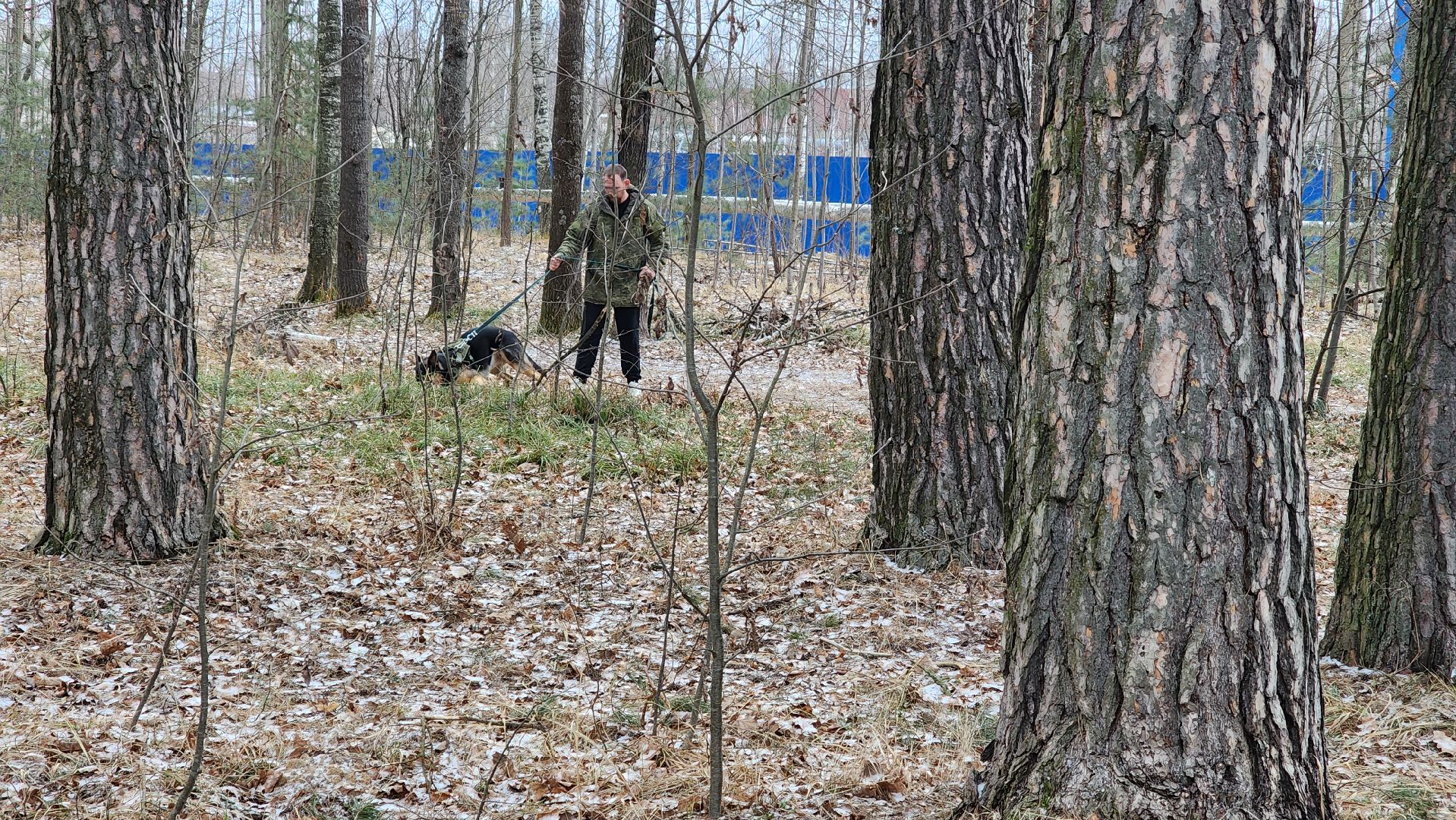 сво, поддержка, животные сво, протвино, собака военнослужащего,