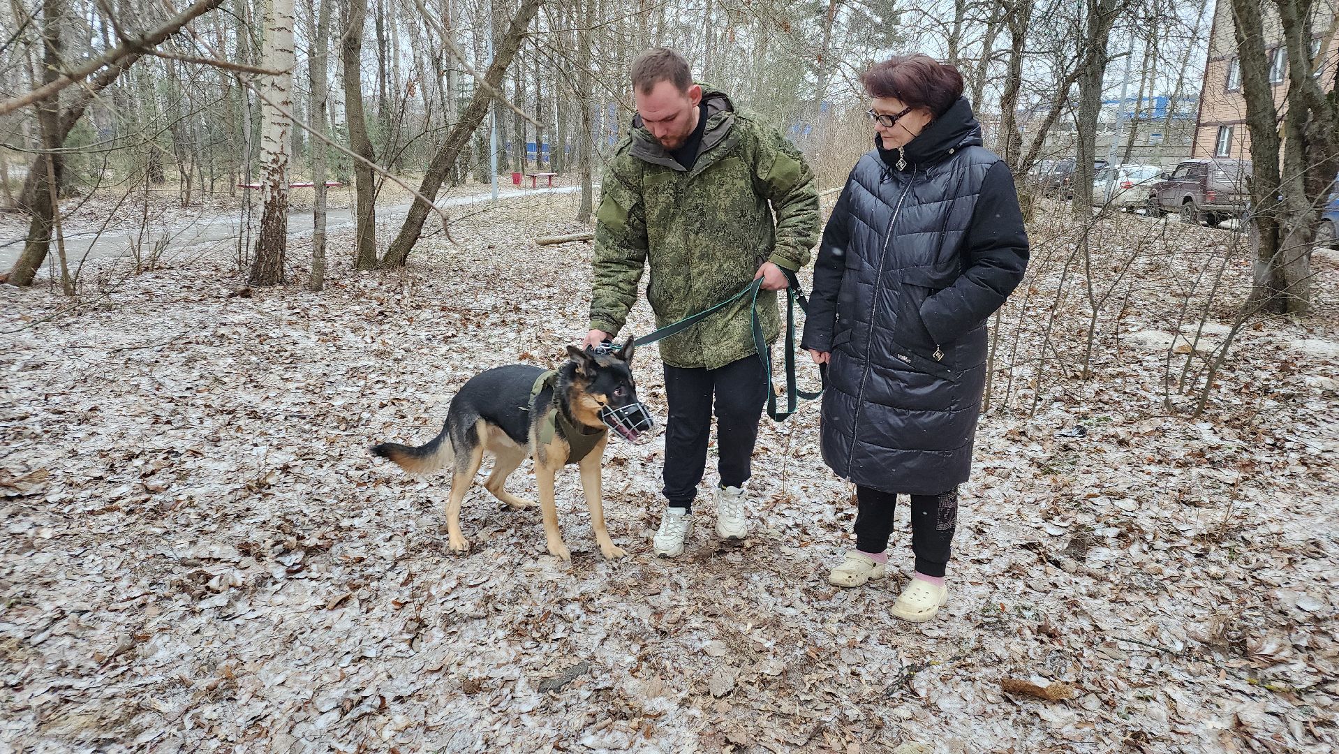 сво, поддержка, животные сво, протвино, собака военнослужащего,