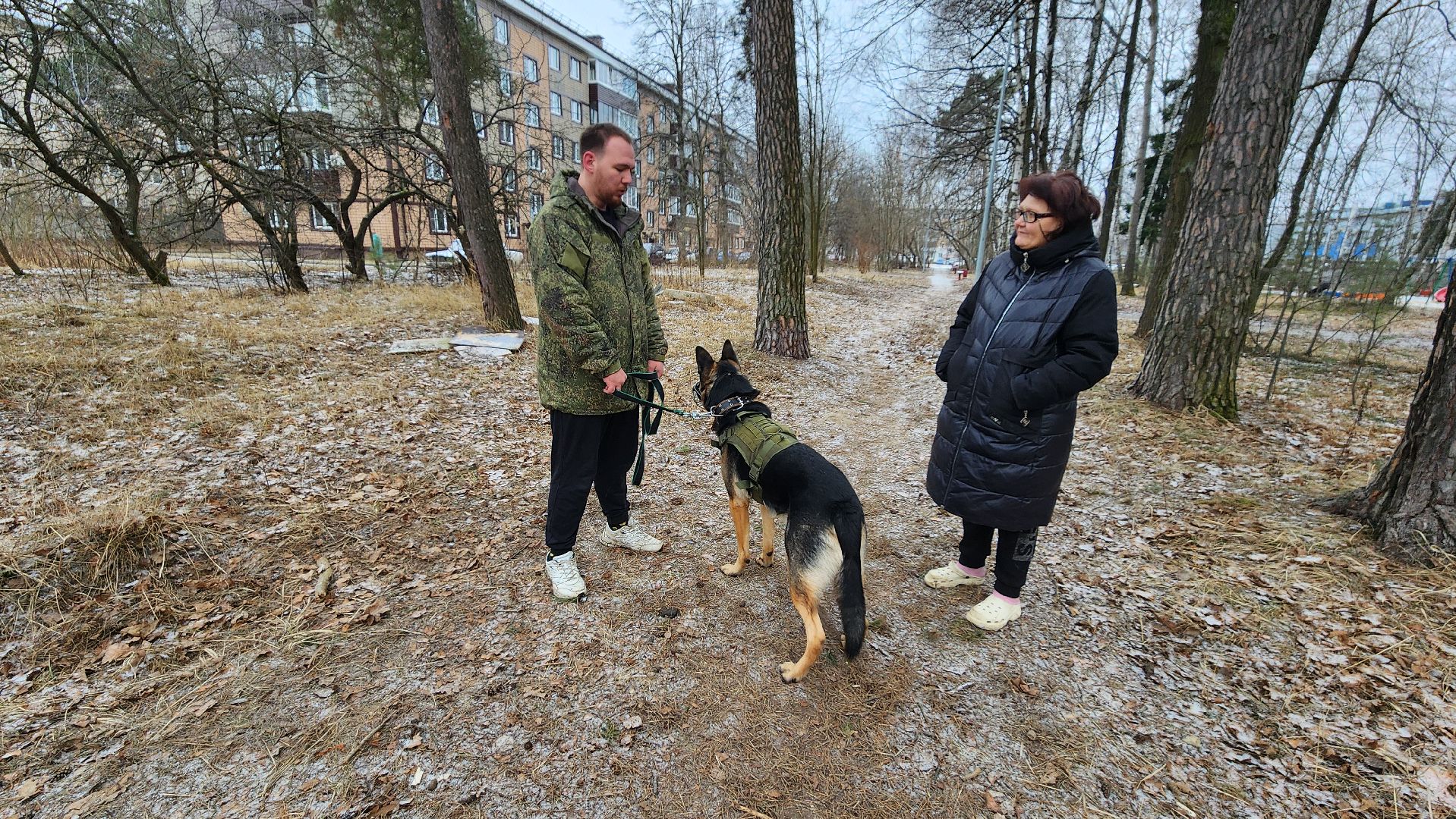 сво, поддержка, животные сво, протвино, собака военнослужащего,
