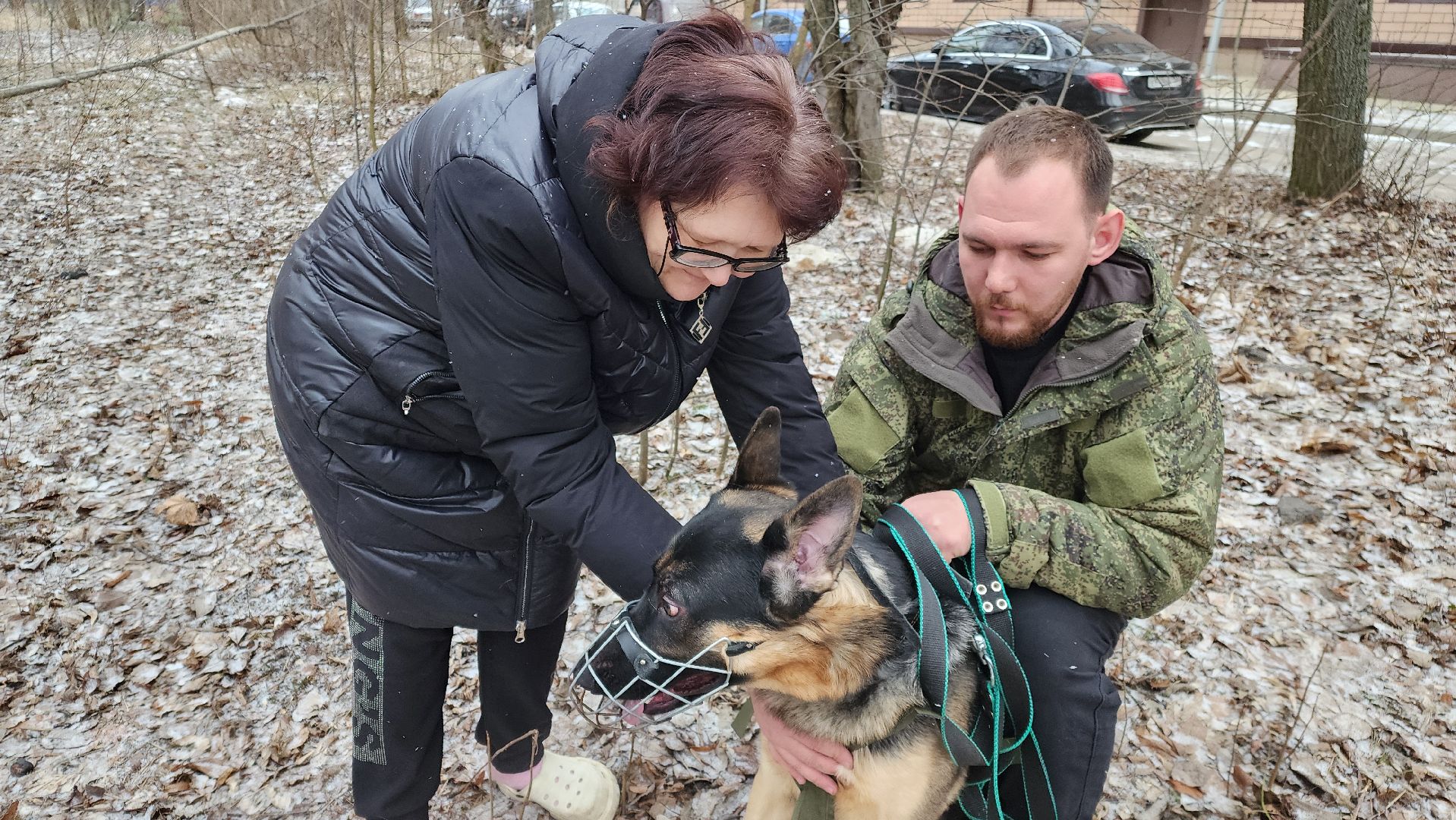 сво, поддержка, животные сво, протвино, собака военнослужащего,