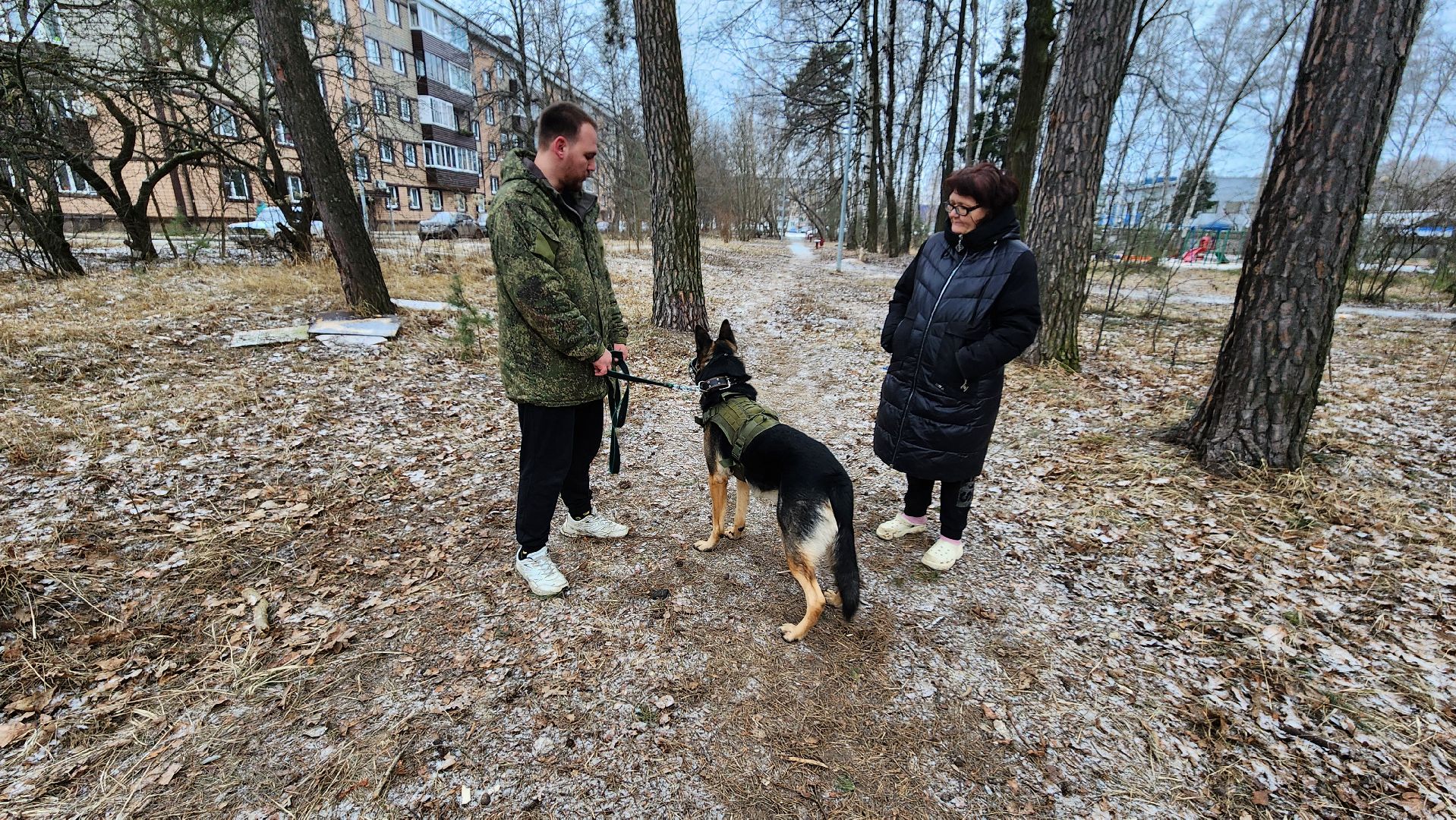 сво, поддержка, животные сво, протвино, собака военнослужащего,