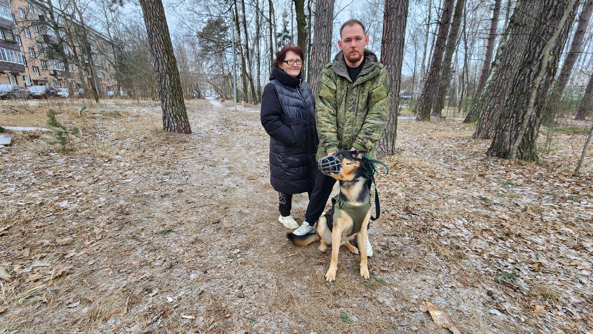 сво, поддержка, животные сво, протвино, собака военнослужащего,