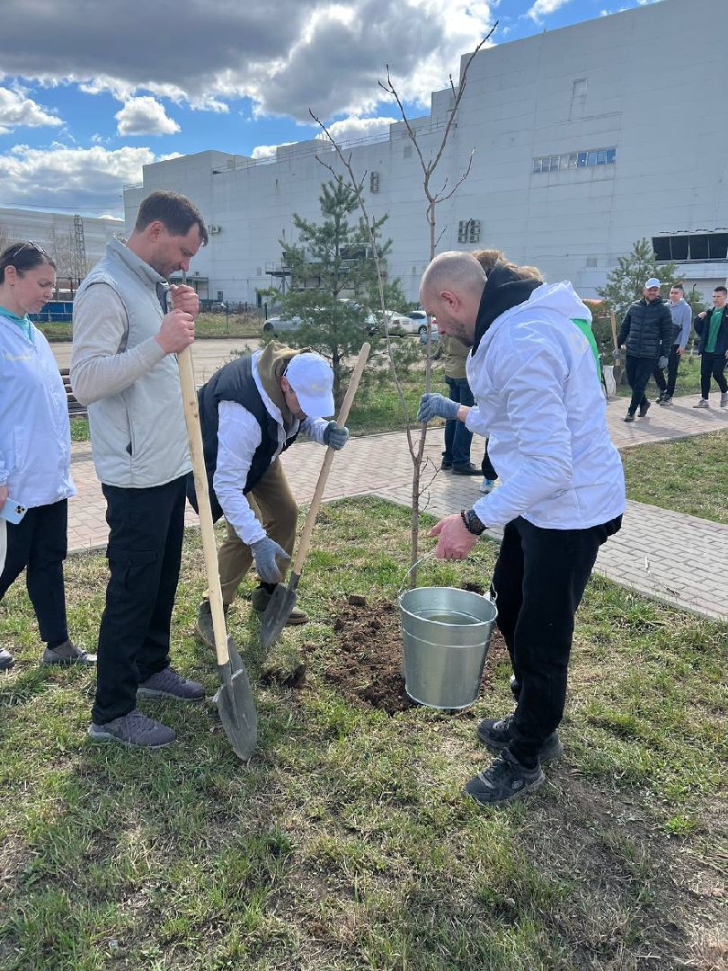 Солнечногорск, замминистра, благоустройство, деревья, субботник