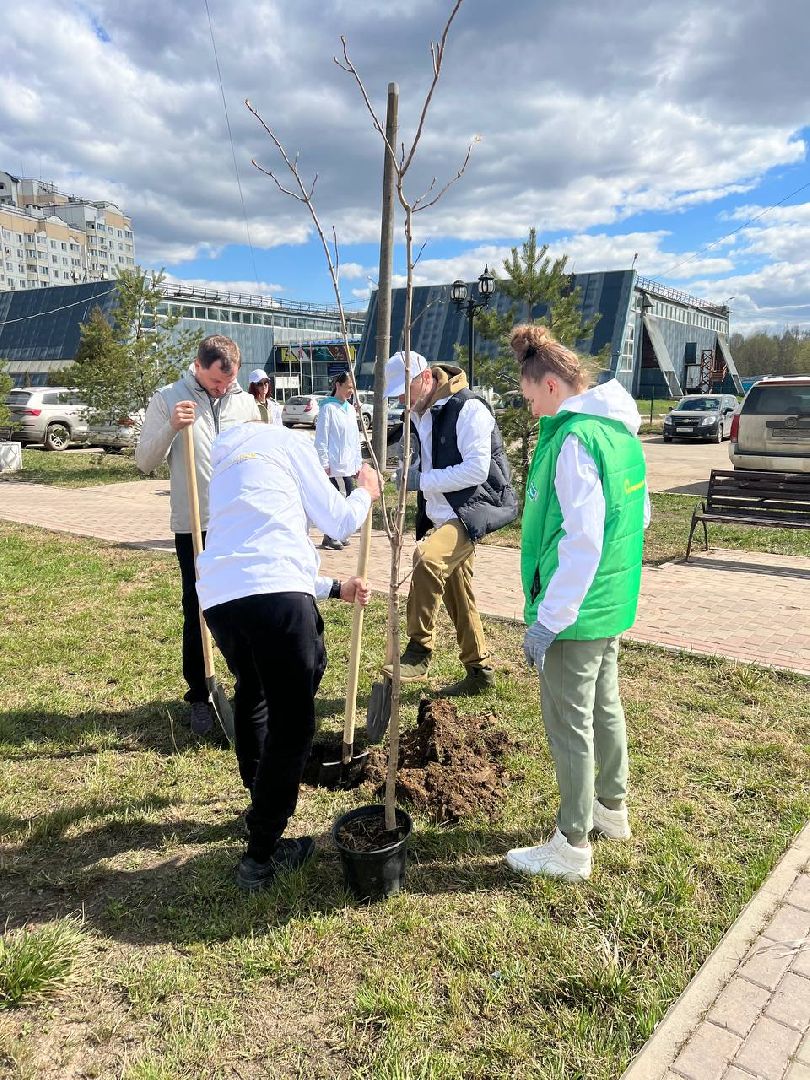 Солнечногорск, замминистра, благоустройство, деревья, субботник