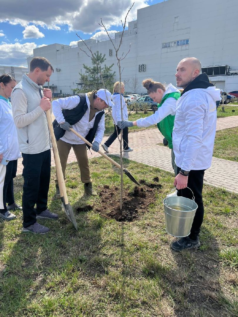 Солнечногорск, замминистра, благоустройство, деревья, субботник