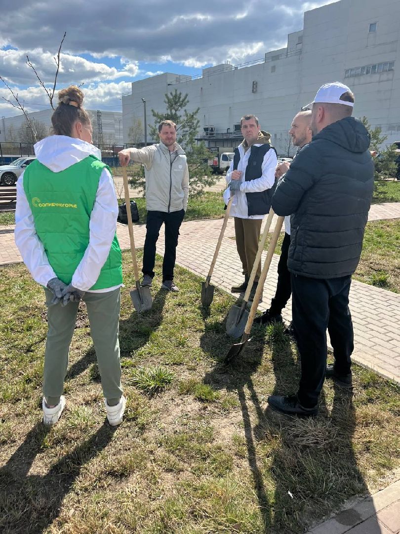 Солнечногорск, замминистра, благоустройство, деревья, субботник
